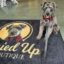Gussied Up Pet Boutique In Atlanta Georgia.