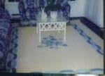 painted sisal rug