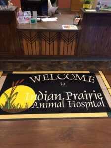 Indian Prairie Animal Hospital