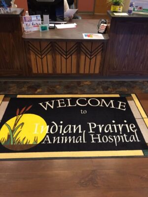 Indian Prairie Animal Hospital scaled